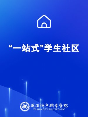 官方视频号