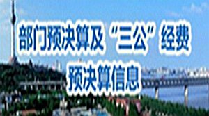 官方视频号